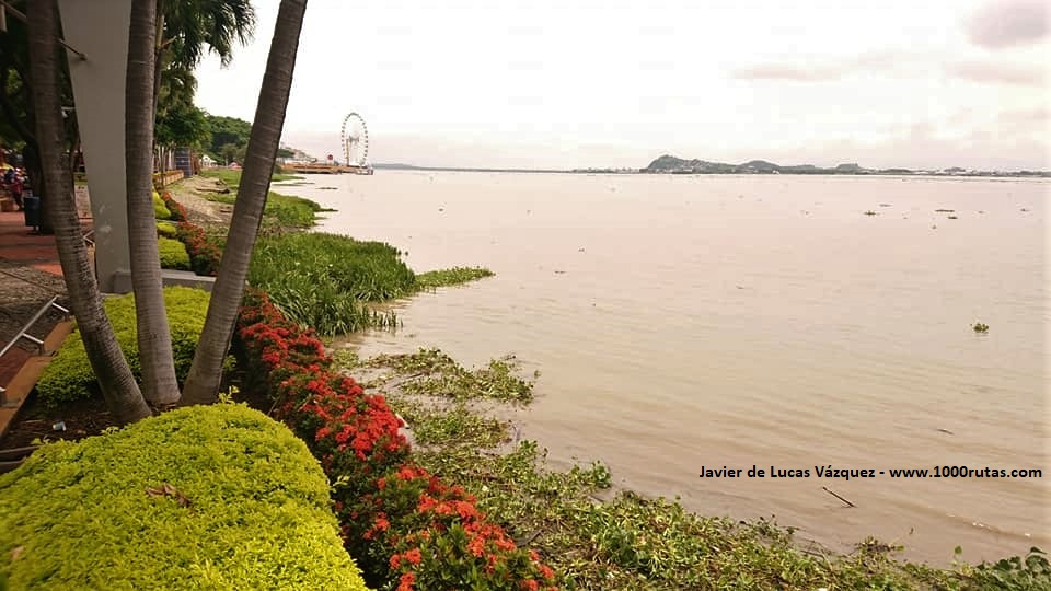 El cauce del Río Guayas, a su paso por el centro de Guayaquil