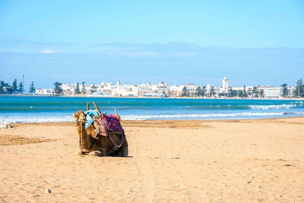 Playa de Essaouira
