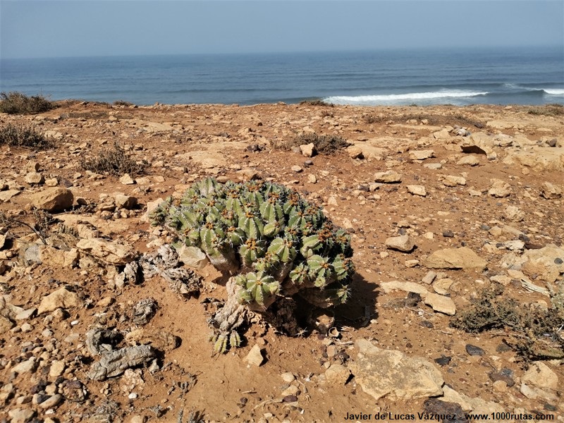 La costa atlántica de Marruecos, en la provincia de Ifni