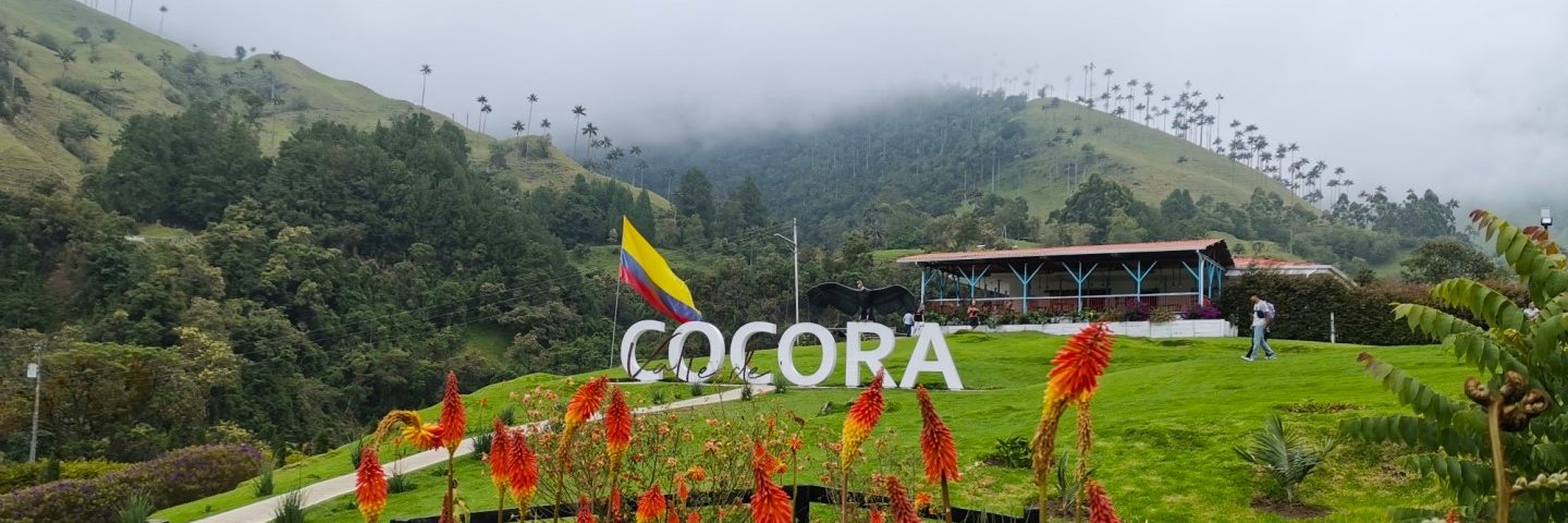 Valle del Cocora
