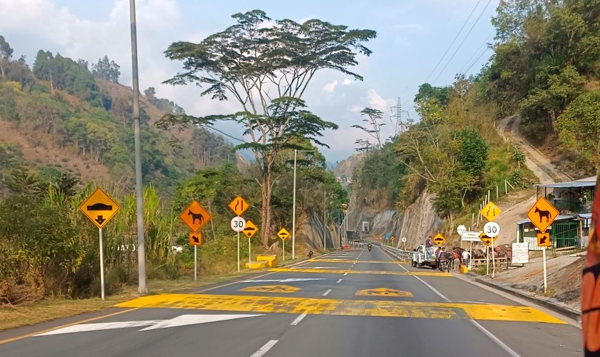 Alto de La Linea, Colombia.