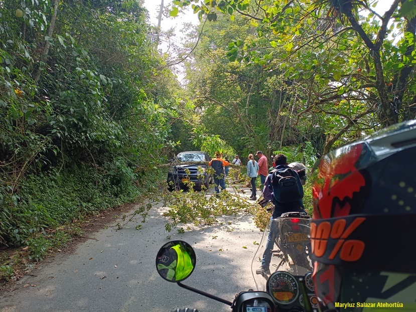 Vía Cortada. Un árbol ha caído sobre un coche en el Valle del Cocora.