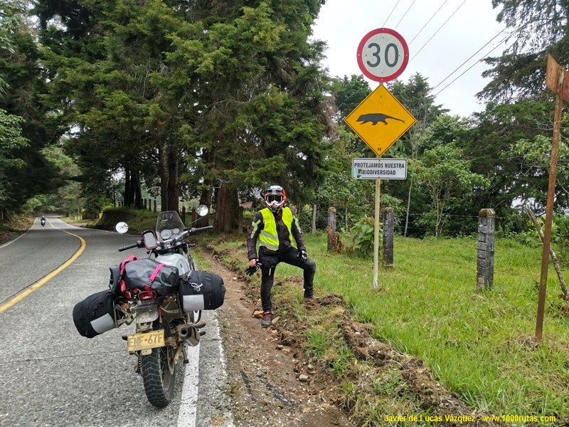Advertencias de fauna salvaje en las vías de Colombia.