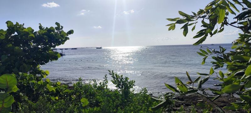 La costa oeste desde el Malecón de San Miguel de Cozumel