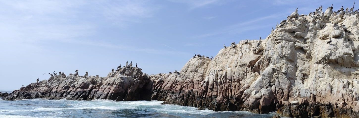 Islas Ballesta, en Paracas