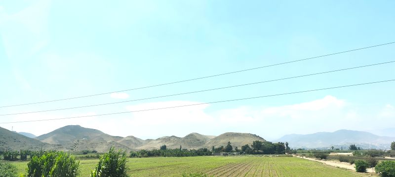 Los ríos que nacen en los Andes llenan de vida el desierto peruano en la costa central