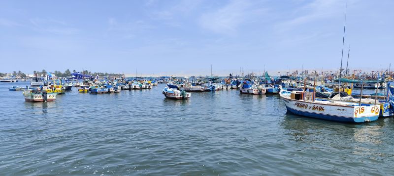 Barcas de pesca en la playa de Paracas