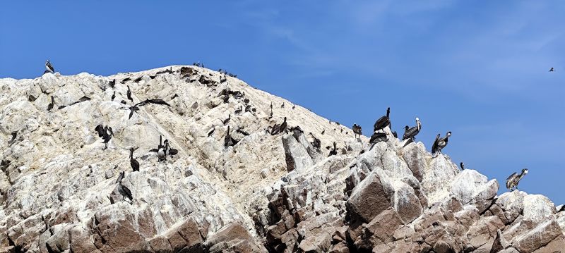 Las aves de las Islas Ballesta tiñen de blanco, con su guano, las rocas.