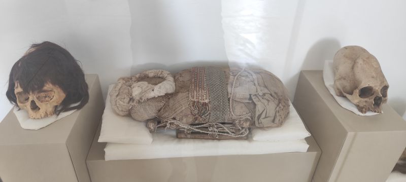 Momia en el Museo Sitio Julio Tello de Paracas