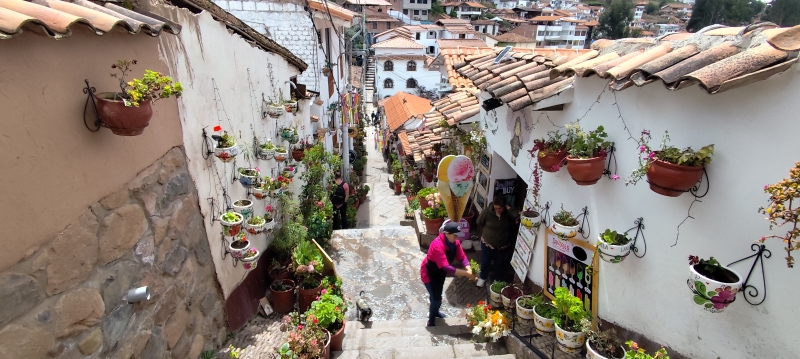 La calle de los 7 borreguitos, con sus paredes llenas de flores y su aire entre tradicional y bohemio.
