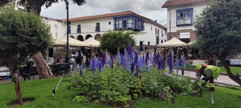 Jardineros mantienen los jardines en la Plaza Regocijo