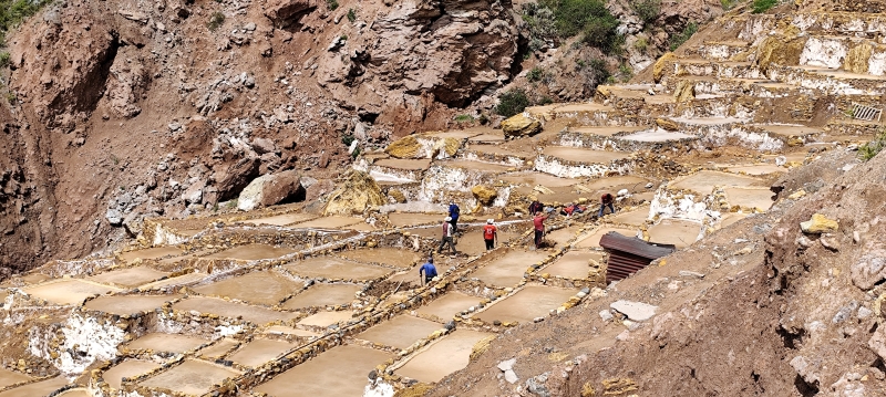 Trabajadores de la Salinera de Maras extrayendo la sal a cestas.
