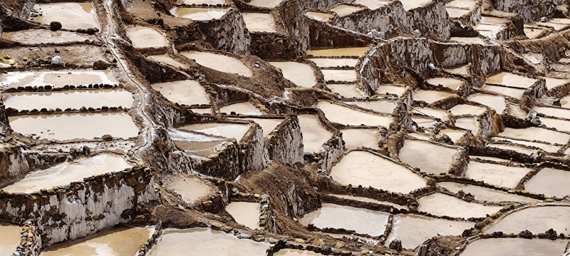Las terrazas (andenes o pozas) donde el agua salada va evaporándose para dejar la preciada sal.