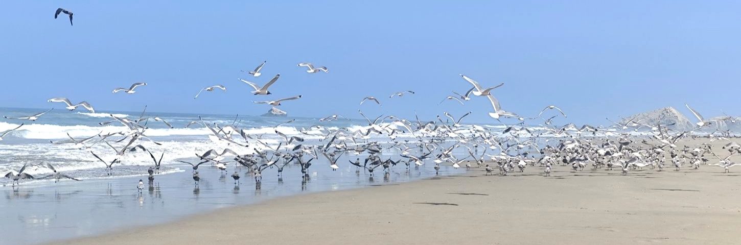 Playa Bonita, Departamento Asia, Perú. La costa atlántica central del país andino.
