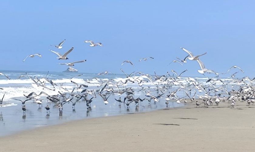Playa Bonita, Departamento Asia, Perú. La costa atlántica central del país andino.